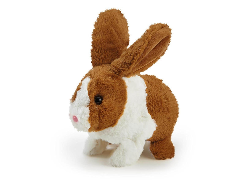 Happy Pets Happy Hoppy Bunny Hutch
