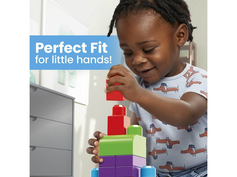 Mega Bloks First Builders Big Building Bag
