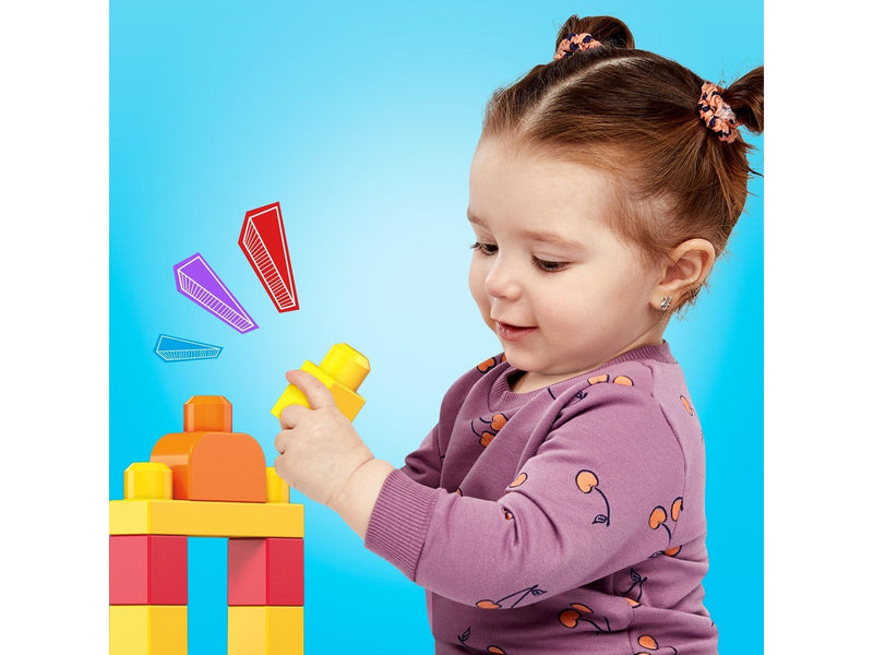 Mega Bloks First Builders Big Building Bag