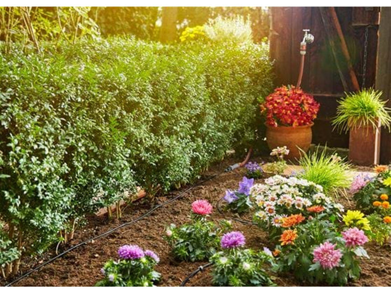Gardena Micro-Drip-System Start Set Pflanzreihe S