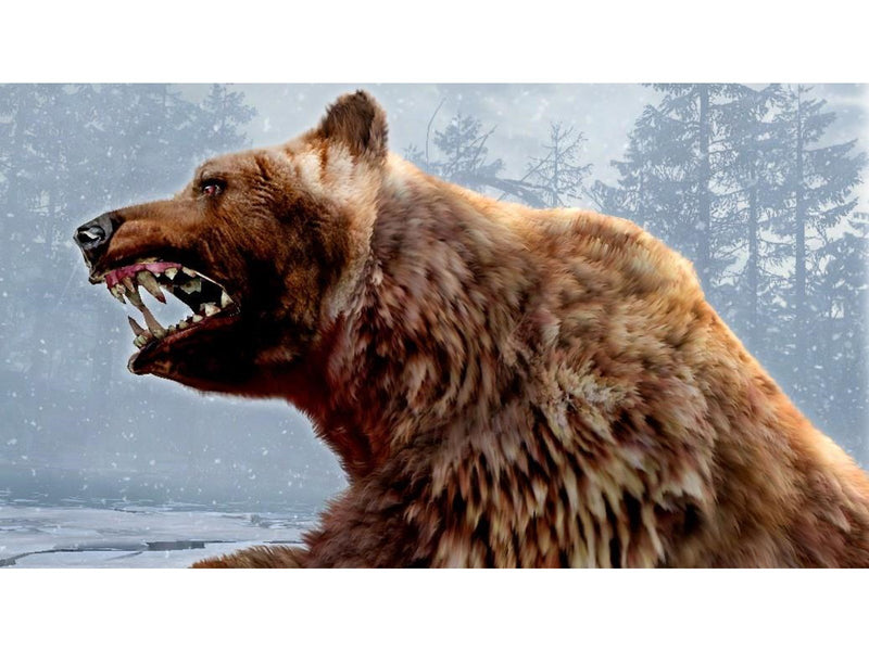 Cabela's Dangerous Hunts 2011 - Sony PlayStation 3 - Jagd - PEGI 16