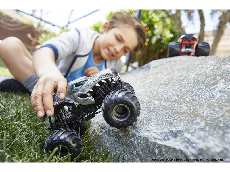 Hot Wheels Monster Trucks 1:24 Scale Vehicles Collectible Die-Cast Toy Trucks Assorted