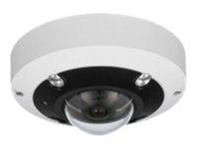 LevelOne FCS-3095 - panoramic camera - dome