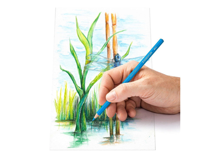 Staedtler Coloured pencil 12pcs     100% PEFC