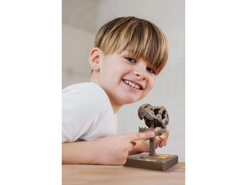 4M KIDZROBOTIX / ROARING T-REX SKULL