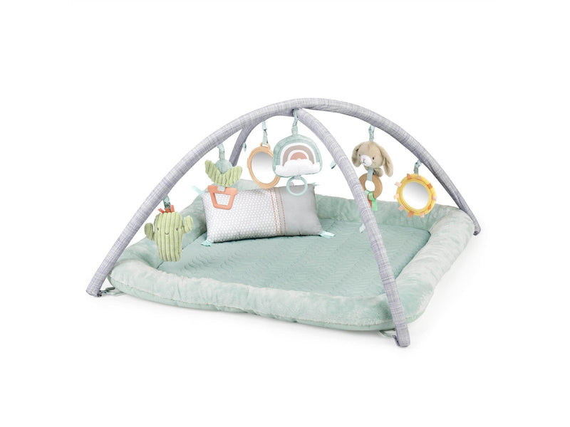 Ingenuity Premium Plush Gym