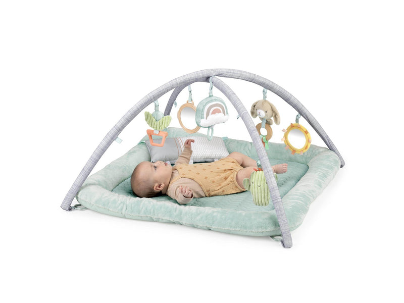 Ingenuity Premium Plush Gym