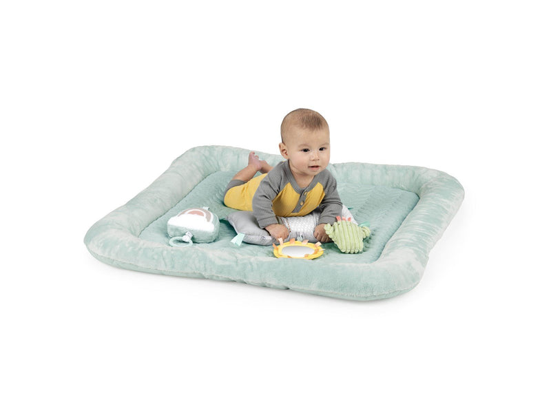 Ingenuity Premium Plush Gym