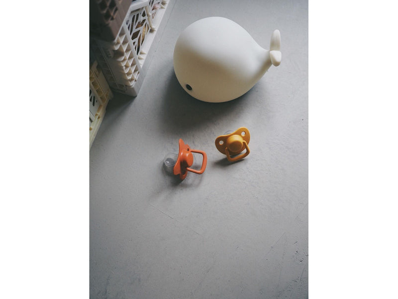 Filibabba Pacifiers 2-pack - Rust +6 months
