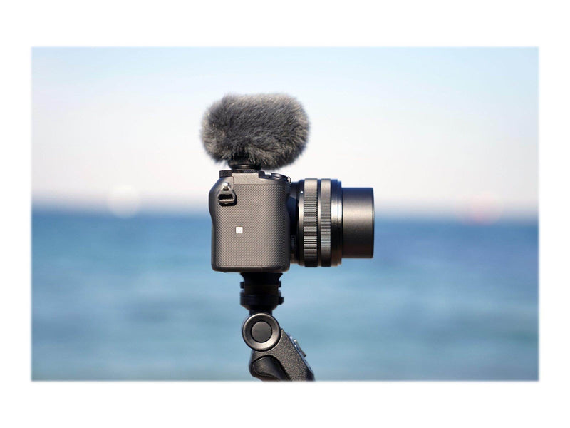 Sony ECM G1