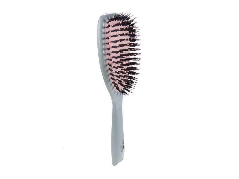 PARSA vegan care brush