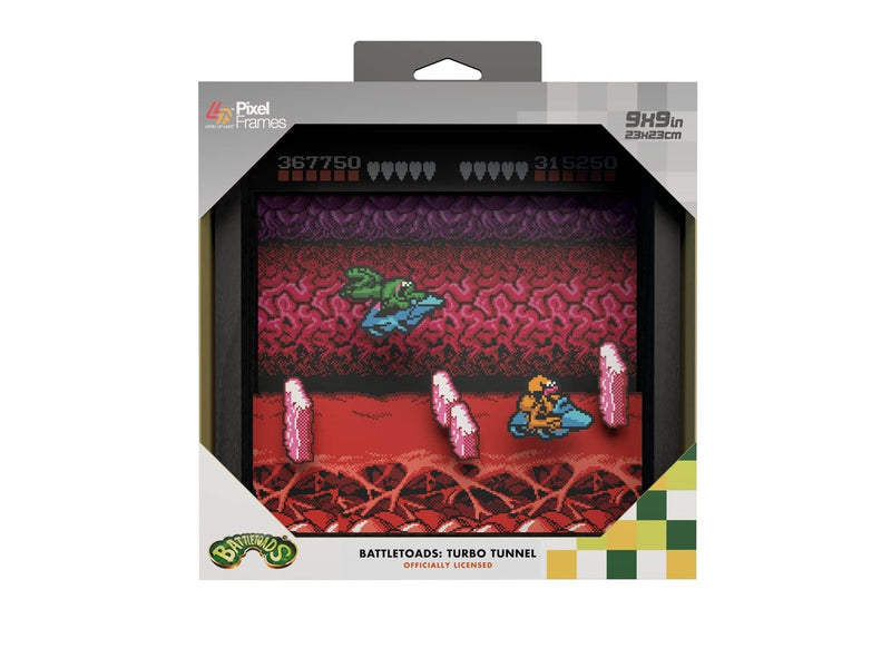 Pixel Frames - Battletoads: Turbo Tunnel - Bild
