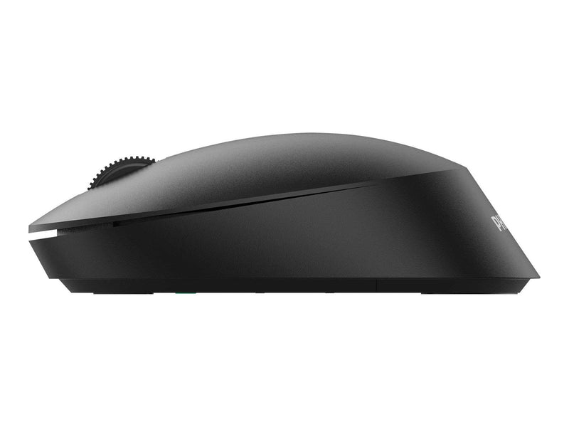 Philips SPK7307B - 3000 Series - mouse - 2.4 GHz - Maus (Schwarz)