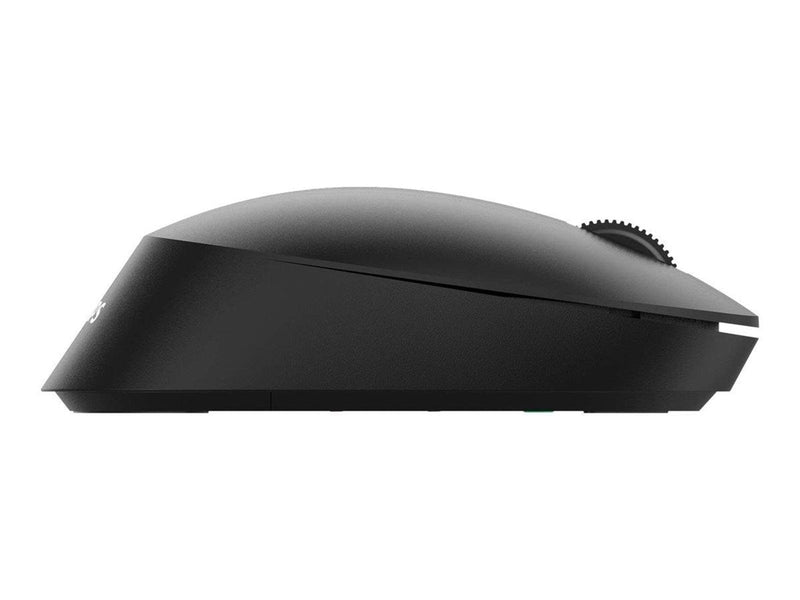 Philips SPK7307B - 3000 Series - mouse - 2.4 GHz - Maus (Schwarz)