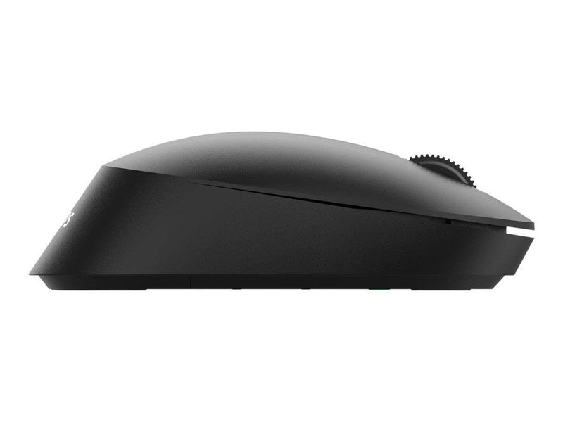 Philips SPK7307B - 3000 Series - mouse - 2.4 GHz - Maus (Schwarz)