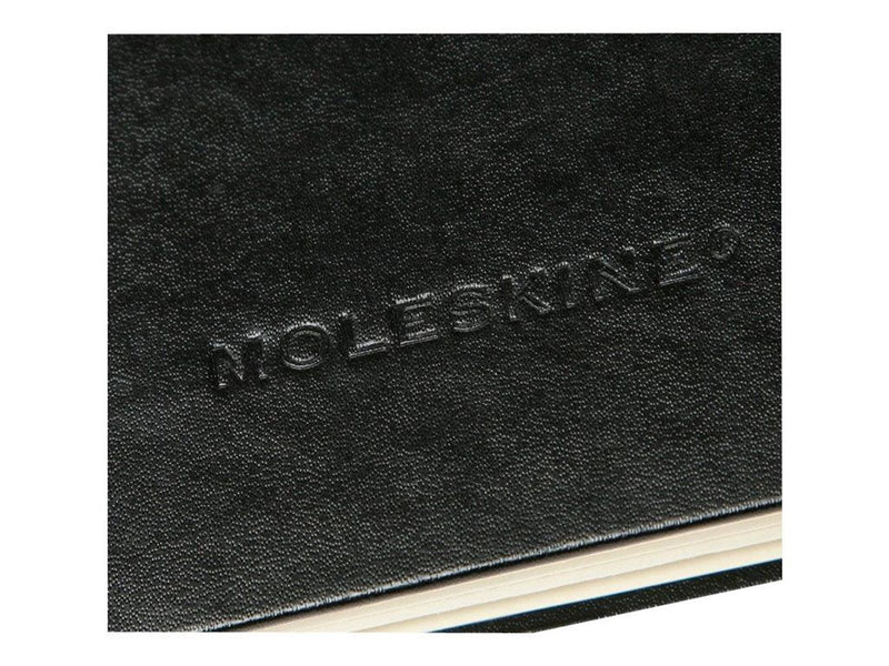 Moleskine Art Plus - sketch book - A4 - 96 pages