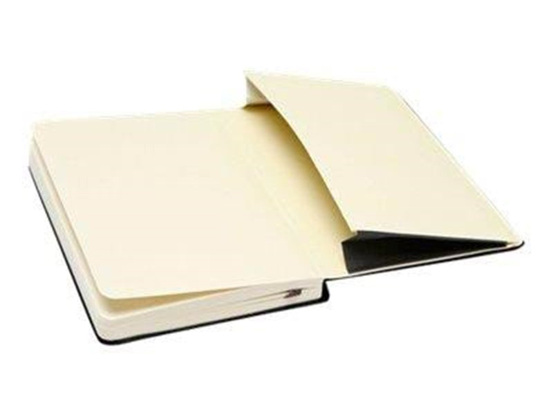 Moleskine Art Plus Pocket