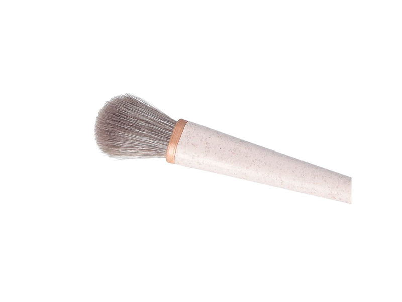 PARSA Eyeshadow brush