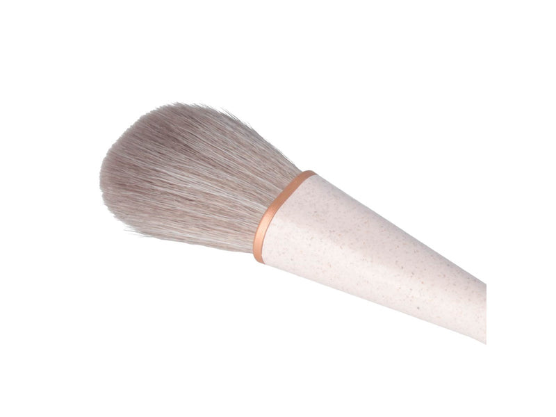 PARSA blush brush