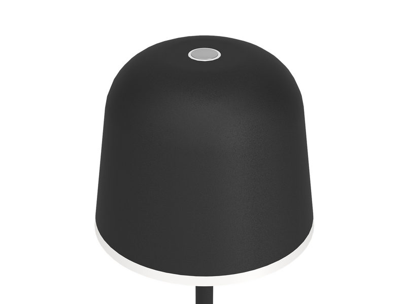 EGLO Mannera schwarz