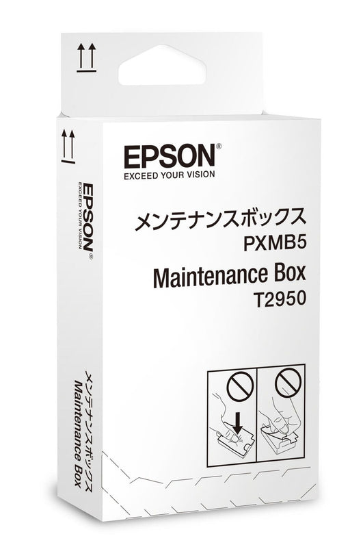 Epson Original Resttintenbehälter für WF-100W (C13T295000)