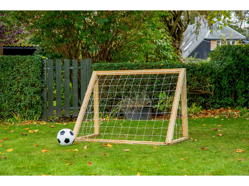 Home Goal Classic Micro