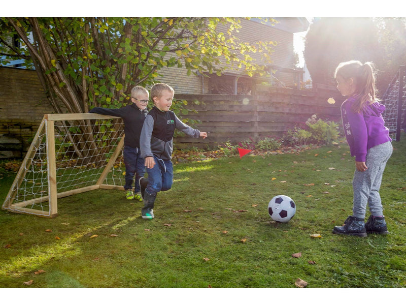 Home Goal Classic Micro