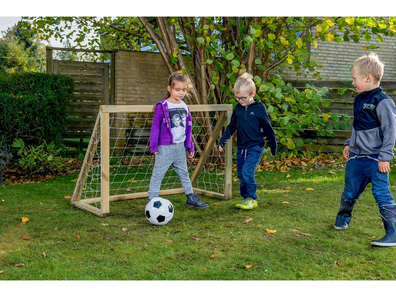 Home Goal Classic Micro
