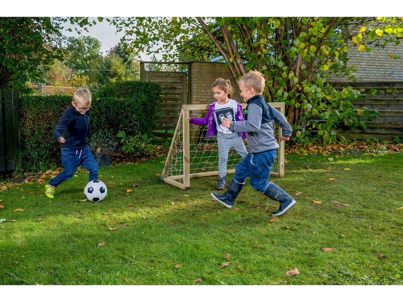 Home Goal Classic Micro