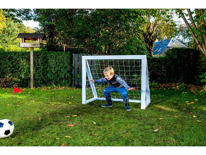 Home Goal Pro Micro - White