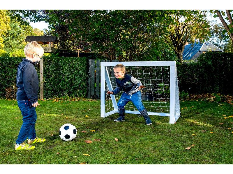 Home Goal Pro Micro - White