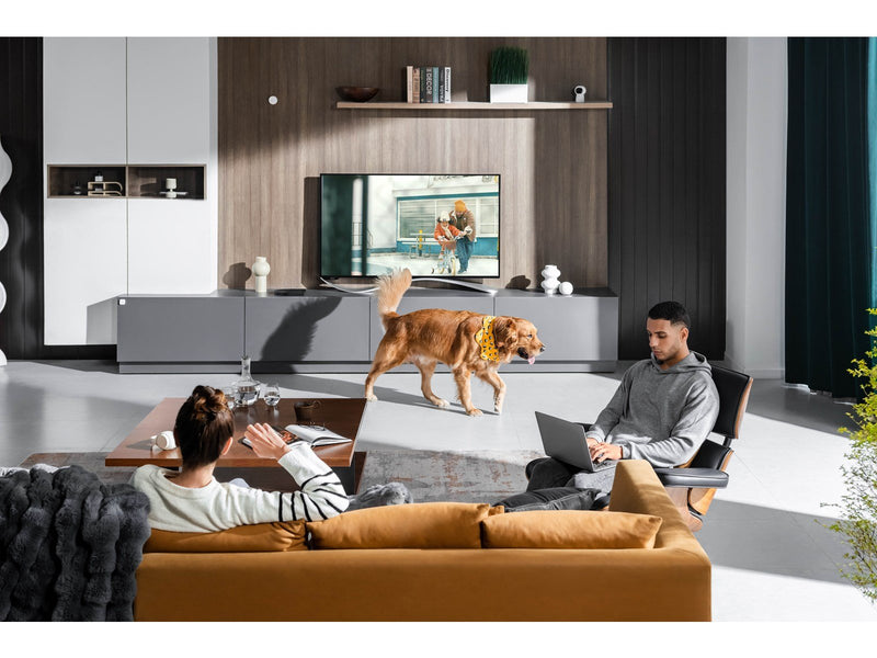 Aqara Presence Sensor FP2