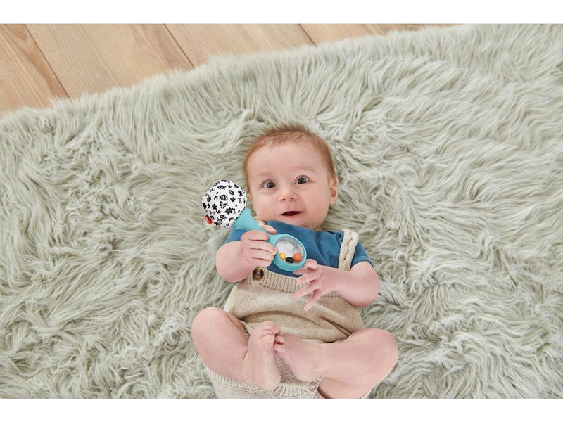 Fisher-Price Rattle 'N Rock Maracas