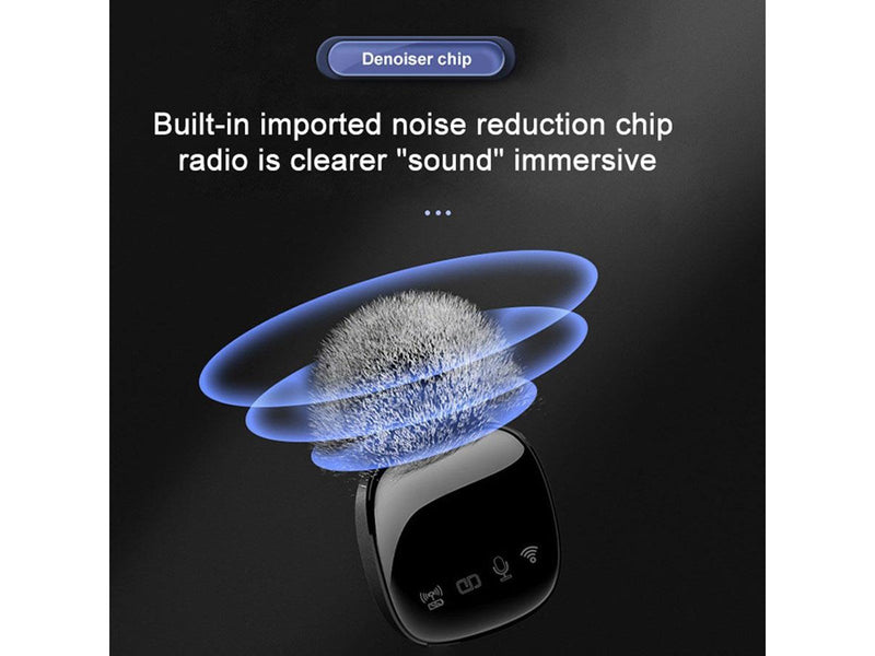 Lippa Dual Wireless Wind Protected Microphone With USB-C Connector