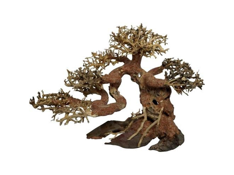 4FISH Bonsai tree roots 15x8x10 cm