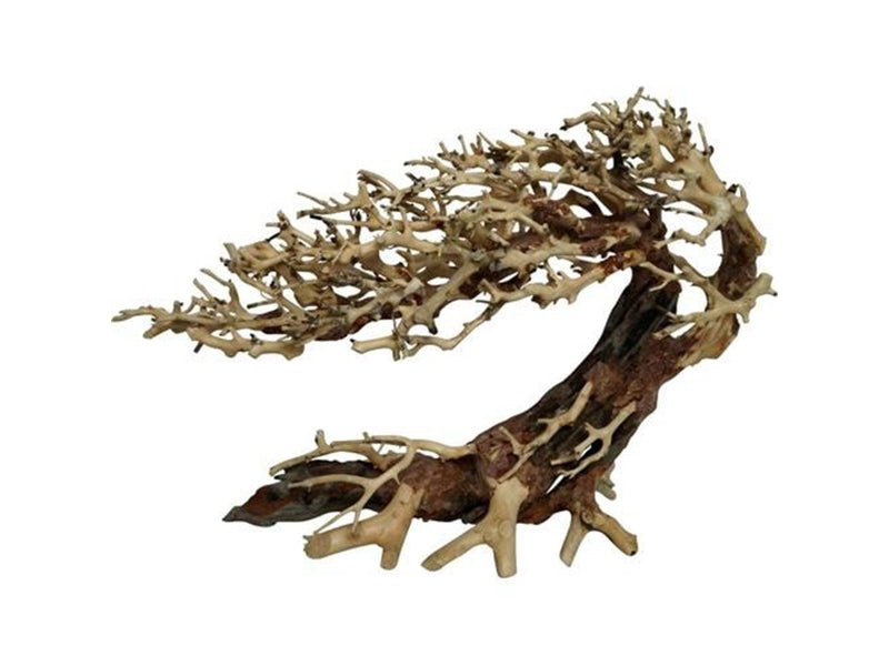 4FISH Tree roots Elegant Brazilian tree 23x10x17