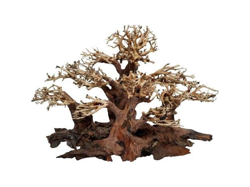 4FISH Tree roots Mini forest 30x16x20 cm