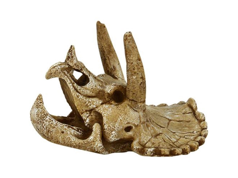 4FISH Skull 14.3x12x9.7 cm