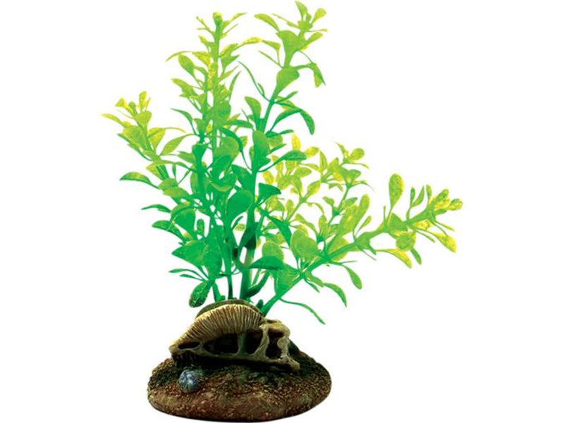 4FISH Skull and plants 6.5x6.3x13.3 cm