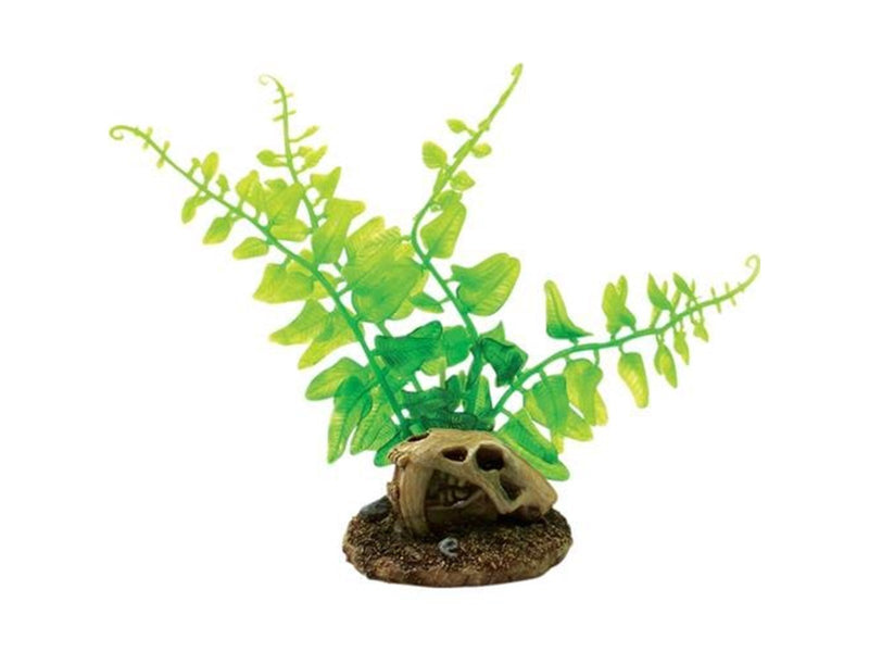 4FISH Skull and plants 6.5x6.3x13.3 cm