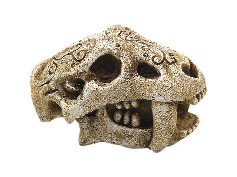 4FISH Skull 7.5x4.2x4.2 cm