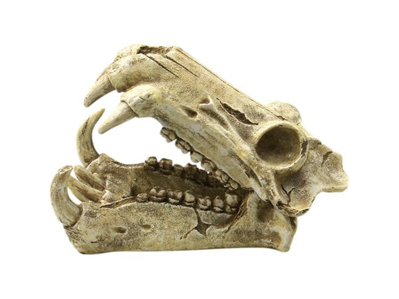 4FISH Skull 20x11x13 cm