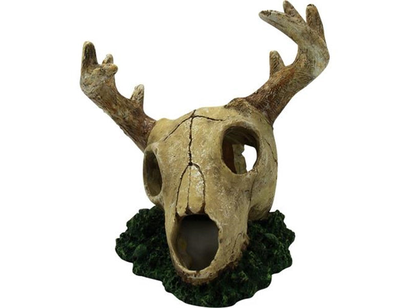 4FISH Skull 14x15x15.8 cm
