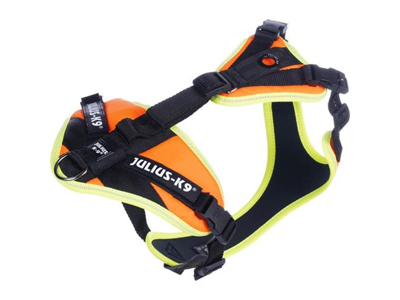 Julius-K9 Mantrailing harness XS Orange