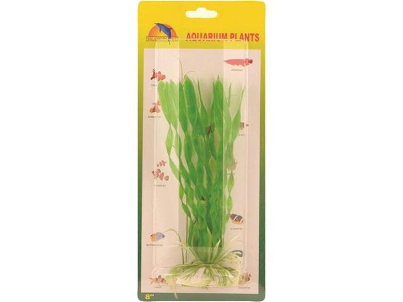 Meadow Vallisneria spiralis plastic 20 cm