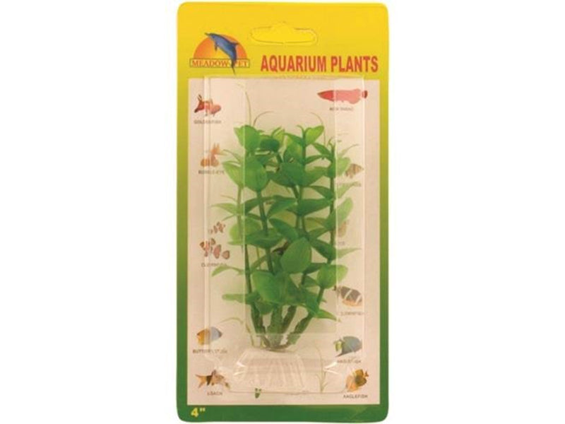 Meadow Green Ludwigia plastic 10 cm.