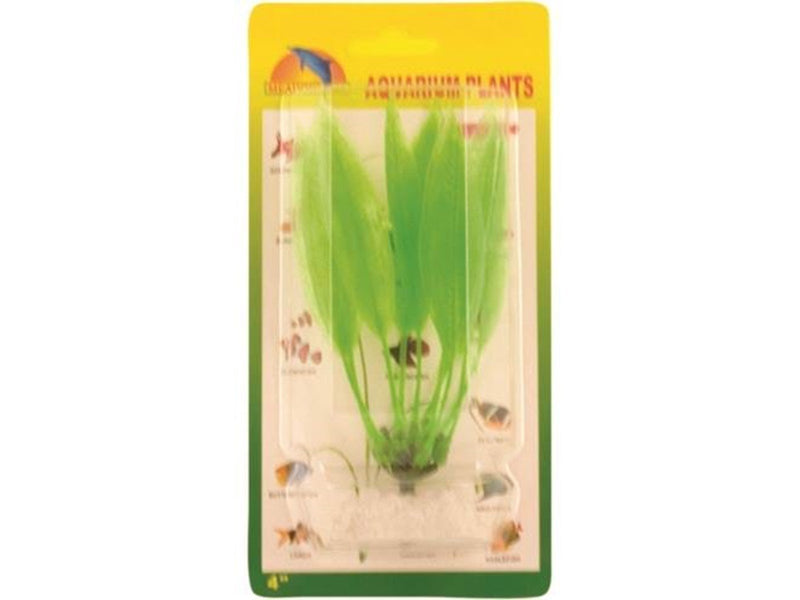 Meadow Amazon sword plant plastic 10 cm