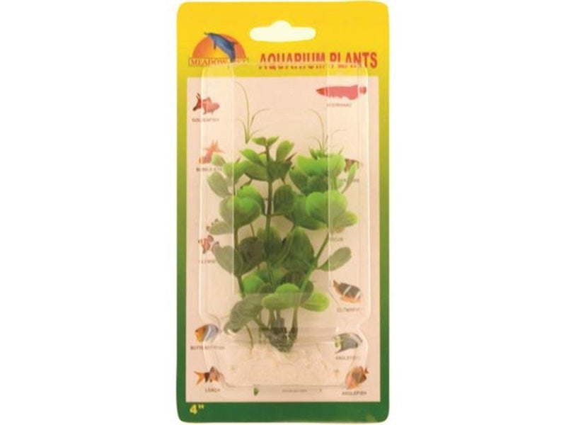 Meadow Hygrophila plastic 10 cm