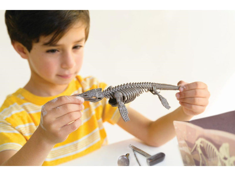 4M KidzLabs / Dig a Mosasaurus skeleton