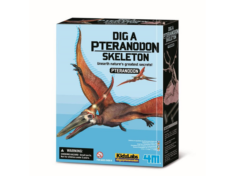 4M KidzLabs / Dig a Pteranodon skeleon